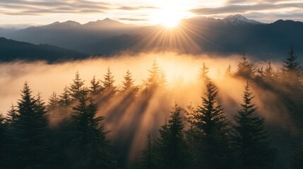 Obraz premium Majestic Sunrise over Misty Mountain Peaks