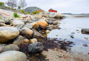 Stony coast and seaweed with red boathouse in distance. Rocky nordic fjord landscape, reflecting Norway coastal tranquility. For travel articles, nature conservation themes, Scandinavian coast visuals