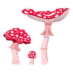 A set of fly agarics of different sizes. Hand drawn vector illustration. Cute mushrooms on a white background.