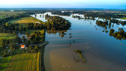 Fototapeta premium Aerial drone view of the Odra River in high flood stage during September 2024. Submerged trees, water nearing the top of levees, and small rural buildings located near the flood embankments.