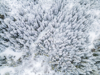 Aerial view of the Lago di Cave del Predil