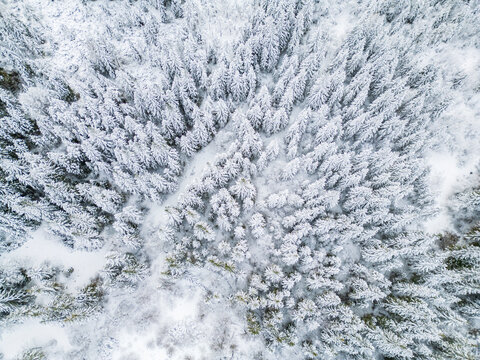 Aerial view of the Lago di Cave del Predil