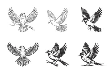 Set of bird outlines vector art graphic design