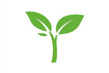 Fototapeta premium This design features a simple yet impactful green sprout with two leaves, symbolizing development, potential, and a commitment to healthy lifestyles