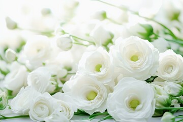 Obraz premium Elegant white eustoma flowers with soft light and copy spac