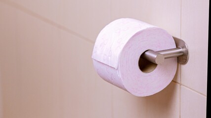 Toilet paper hanging on a stainless steel holder in bathroom