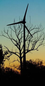 Windkraftanlagen kurz nach dem Sonnenuntergang.