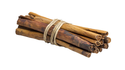 Bundle of cinnamon sticks tied with twine