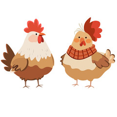 rooster and hen poultry no background