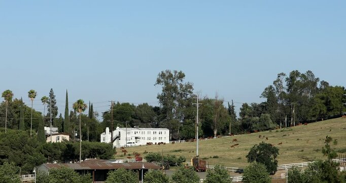 Afternoon view of houses and a hillside with grazing animals in Chino Hills, California, USA.