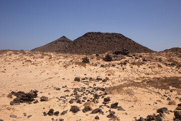 sand dune in the desert