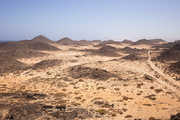 landscape in the desert