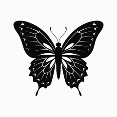 butterfly silhouette  isolate on white