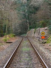 vías de tren por el bosque