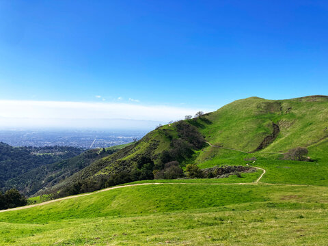 Rolling green hills with winding trails overlook a distant urban skyline under a vibrant blue sky, showcasing the natural spring beauty of Sierra Vista Open Space Preserve
