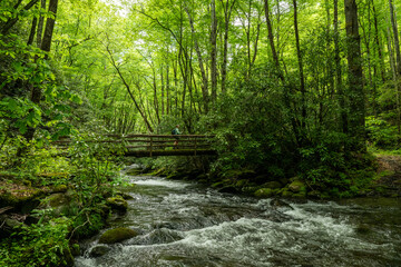 Obraz premium Woman Crosses Bridge Along Noland Creek In Great Smoky Mountains