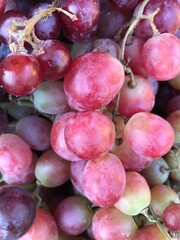 fresh grapes from the market