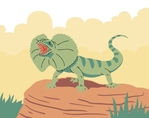 Frilled lizard sitting on a stone. Hooded reptile. Animal in the wild. Nature and fauna. Vector illustration