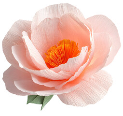 Isolated single paper flower peony made from crepe paper