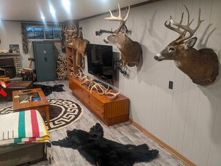 A cozy, rustic-themed room showcasing mounted deer heads, bear rugs, antler decor, and wood...
