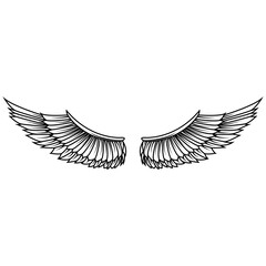 wings in vector. Design elements for logo, badge or label. Vector illustration.