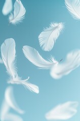 Naklejka premium Floating white feathers on soft blue background