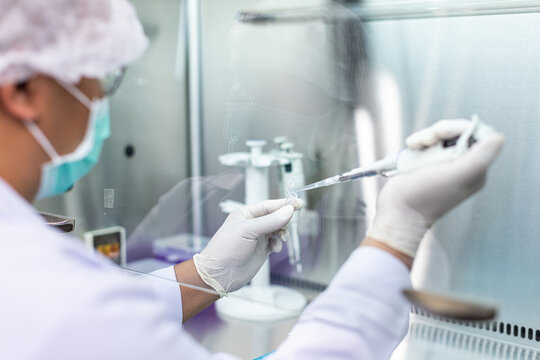 Pcr testing procedures in a laboratory environment a detailed overview of scientific techniques and best practices