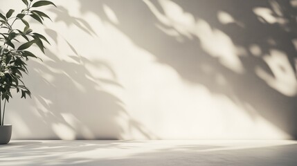 Elegant minimalist backdrop with leaf shadows on off-white wall and floor for product displays or design showcases