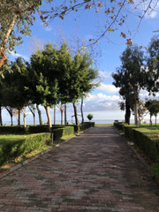 Road to the sea, alley, Summer time 