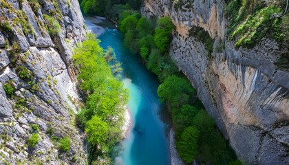 Obraz premium Generated image Overhead shot of a river running through a canyon, with spring greenery and flowers clinging