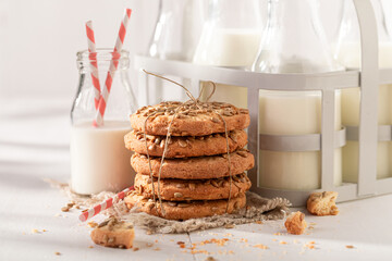 Crunchy sunflower seed cookies as a breakfast snack.