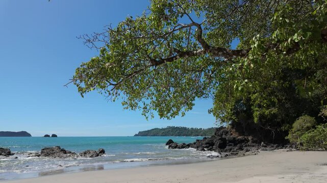 Central America Beach shoreline with overhanging trees - slow motion