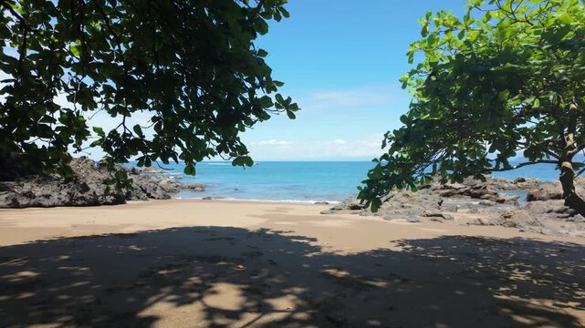 Idyllic beach in Costa Rica. Tracking forward from the trees to the ocean. Butterflies flutter across the sandy shoreline.