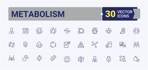Metabolism icons set in linear style. Icons calorie, obesity, slim, balance, weight and more. Simple line vector. Editable stroke icon collections.