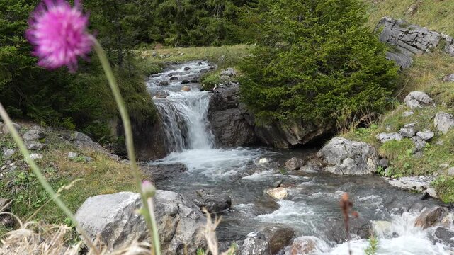 River stream, Switzerland, near Grindelwald