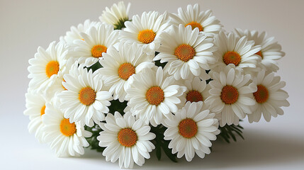Obraz premium Bouquet of freshly picked daisies with bright white petals and yellow centers, isolated on a pure white background with soft even lighting, clean and minimalistic composition
