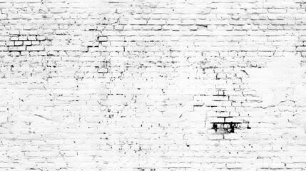 A white painted brick wall showcases its texture with subtle imperfections visible. The background captures an urban setting with natural light illuminating the surface.