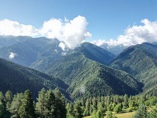 Abstract pattern of intertwining lines and shapes in various shades of blue.