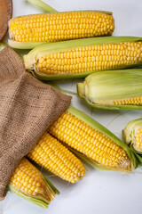 Fresh yellow ripe sweet raw corn, sugar corn or pole corn, variety of maize, uncooked