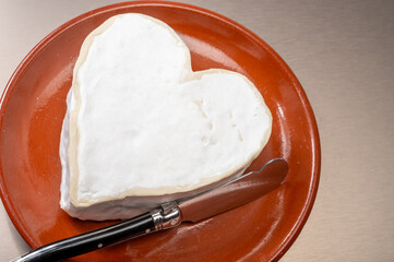 Cheese collection, French cheese from Normandy region, heart-shaped neufchatel from farm shop close up