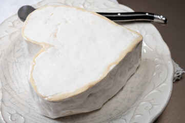 Cheese collection, French cheese from Normandy region, heart-shaped neufchatel from farm shop close up
