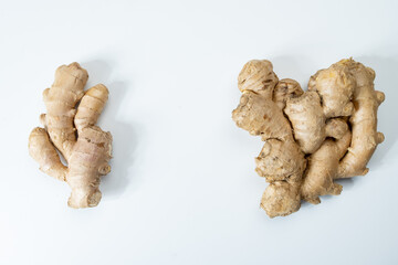 Fresh organic ginger rhizome root used in traditional medicines and for flavoring meals, drinks, isolated on white