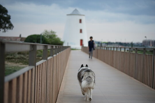 Pedestrian wooden walkway designated mill great city of Barreiro-Portugal
