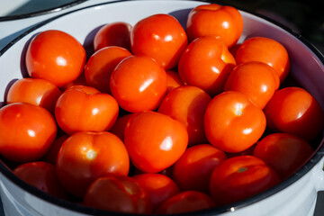 A pristine white bowl filled to the brim with vibrant red tomatoes is placed elegantly on a charming wooden table, adding a lovely touch of color and freshness to the setting