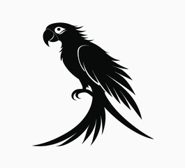 parrot silhouette isolate on white