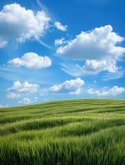 green field and blue sky