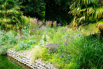 Flower bed growing in the summer                               
