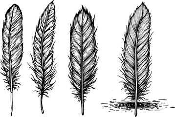 Vintage witchcraft set with mystical feathers, engraved illustration