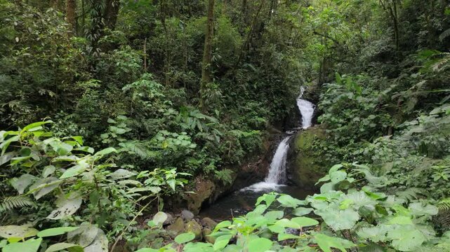 Two waterfall cascades in Monteverde Cloud Forest Biological Reserve. Costa Rica. Slow motion dolly moving shot. Vegetation in foreground. 