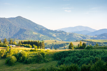 rural area of transcarpathia in summer. beautiful view. countryside scenery with rolling hills in morning light. carpathian mountain landscape of ukraine on a sunny day. provincial outdoor adventure